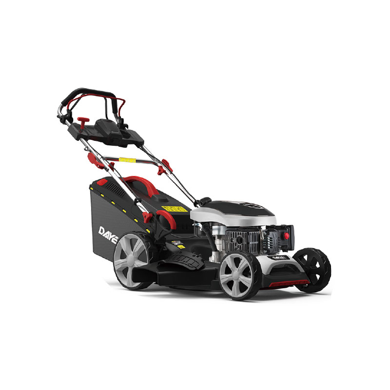 DY202-173SM-06V — Бензиновые газонокосилки, Dayeepower