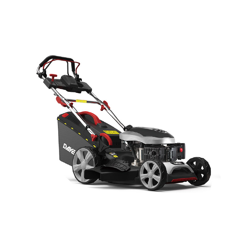 DY202-196SM-06VE — Бензиновые газонокосилки, Dayeepower